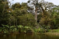В Коста-Рике археологи раскопали огромные сферы из камня