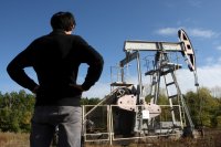 Эксперт назвала ресурсы, которые могут заменить России нефть по доходности от продажи
