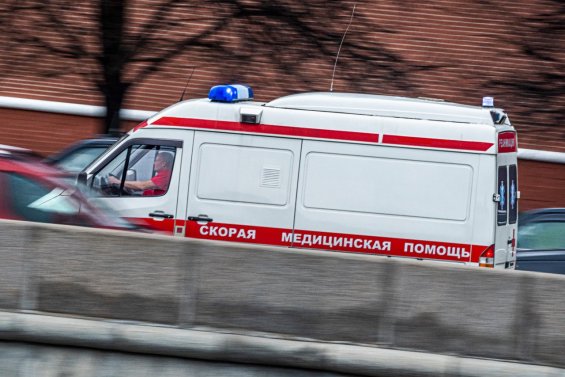 В Московской области в квартире обнаружили девочку с телами умерших родителей