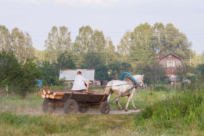 Улучшились условия жизни восьми миллионов россиян, проживающих в селах